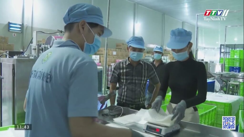 Á Hậu Trúc Linh đến tham quan Tân Nhiên